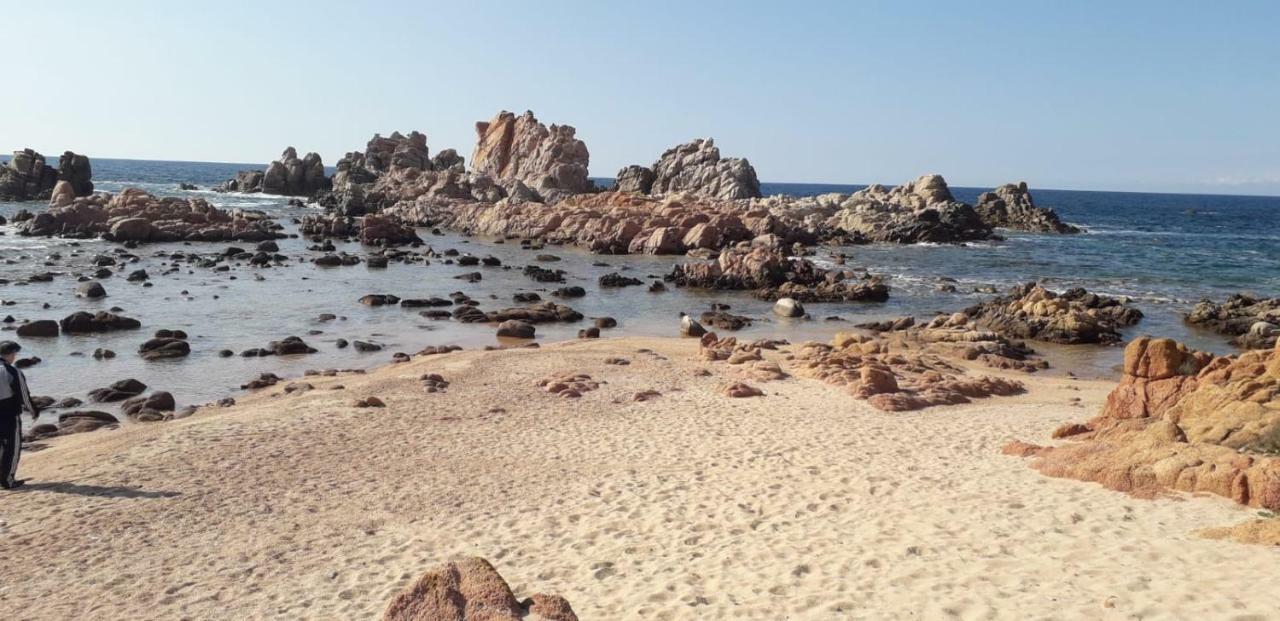 Bouganville Residence ايزولا روسا المظهر الخارجي الصورة