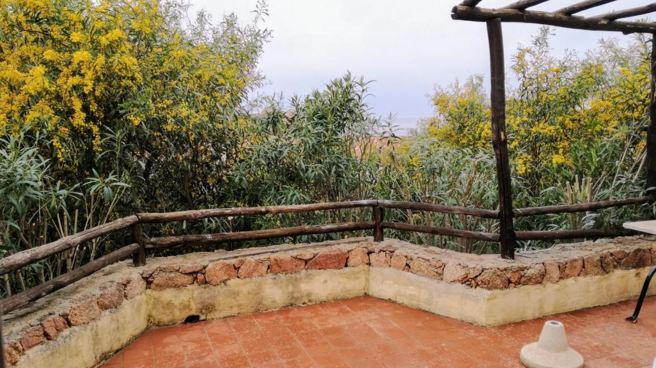 Bouganville Residence ايزولا روسا المظهر الخارجي الصورة