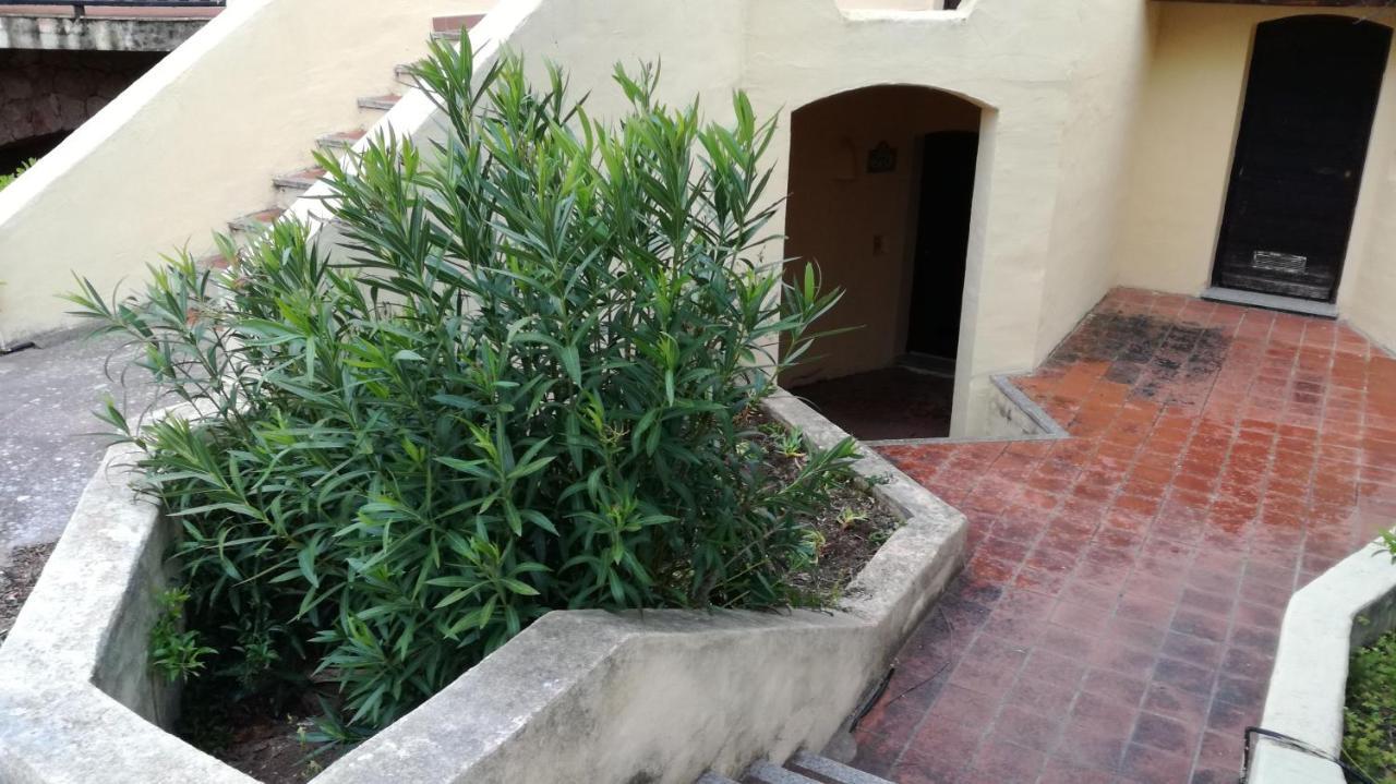Bouganville Residence ايزولا روسا المظهر الخارجي الصورة