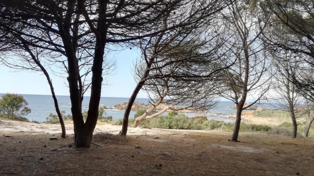 Bouganville Residence ايزولا روسا المظهر الخارجي الصورة